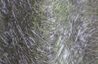 Saxon Street fibreglass roof work